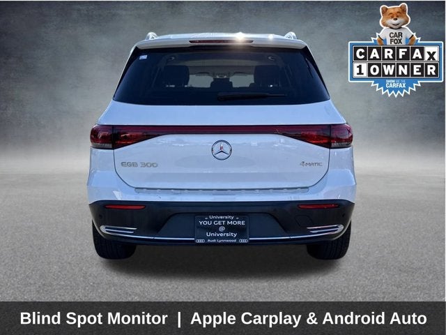 2022 Mercedes-Benz EQB EQB 300