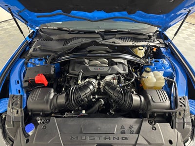 2024 Ford Mustang Dark Horse