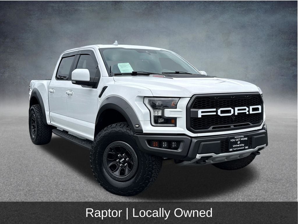 2019 Ford F-150 Raptor