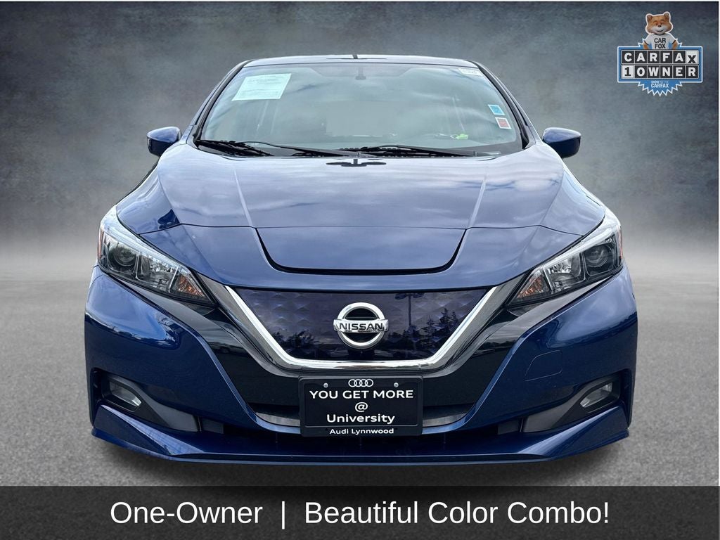 2019 Nissan Leaf SV Plus