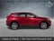2024 Toyota Venza Limited